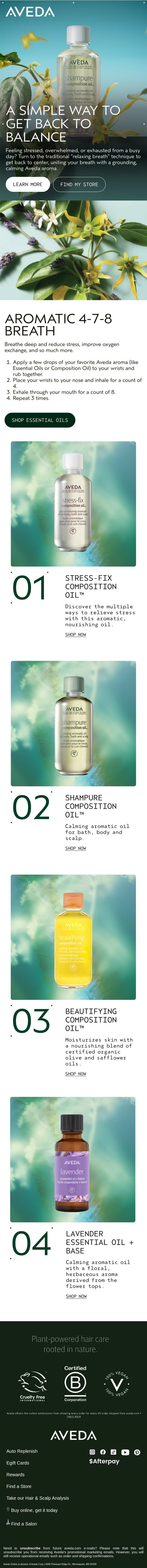 Get back into balance email from Aveda screenshot