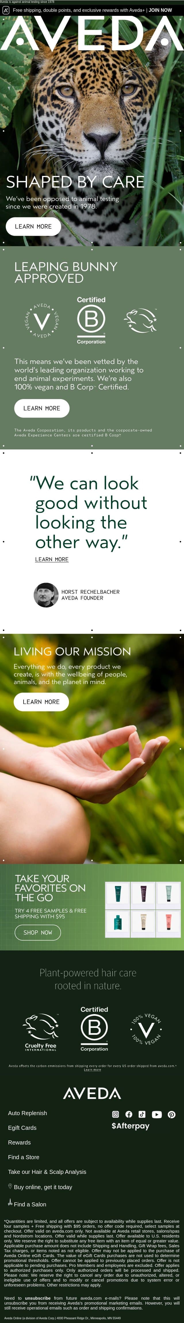 Shaped by care email from Aveda screenshot