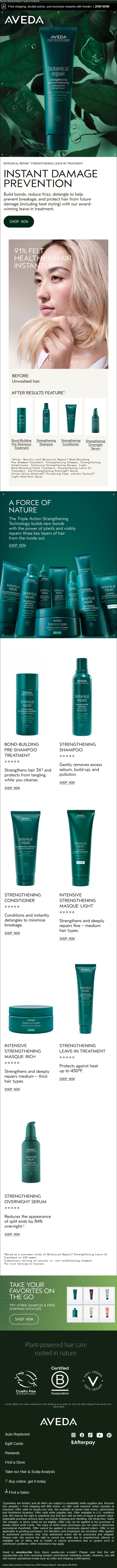 Instant damage prevention email from Aveda screenshot
