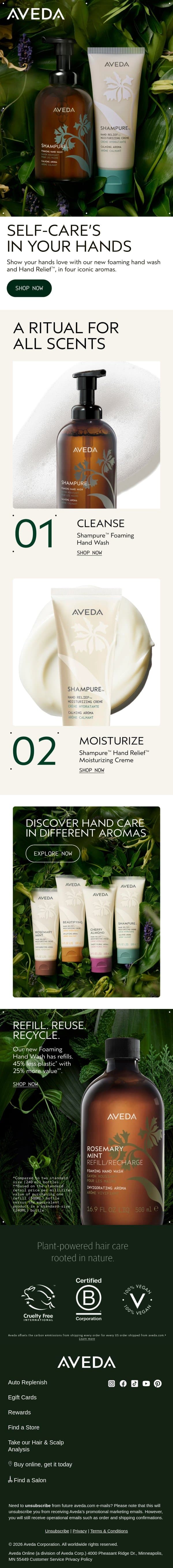 Self-care is in your hands email from Aveda screenshot