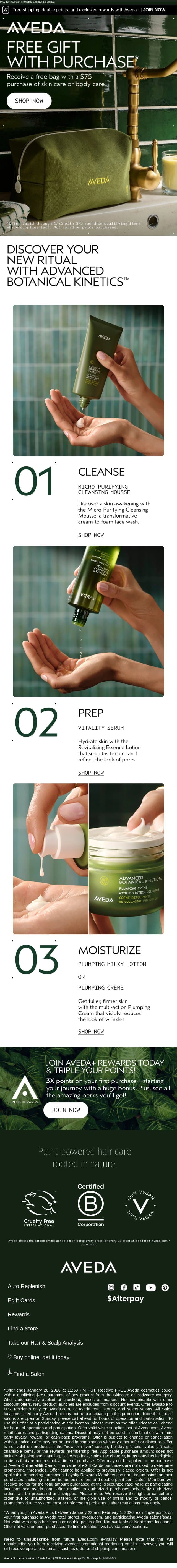 Your $75 Skin Care or Body Care Treat Comes with a Free Cosmetic Bag! email from Aveda screenshot