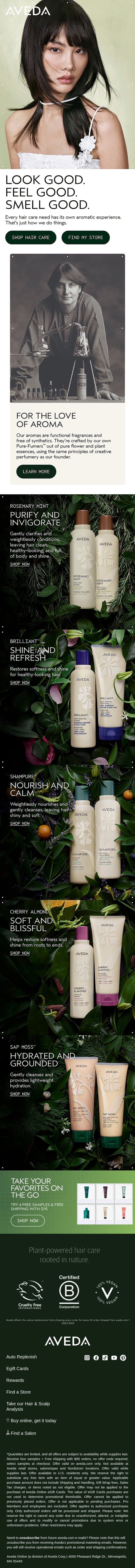 Hair care that does it all email from Aveda screenshot