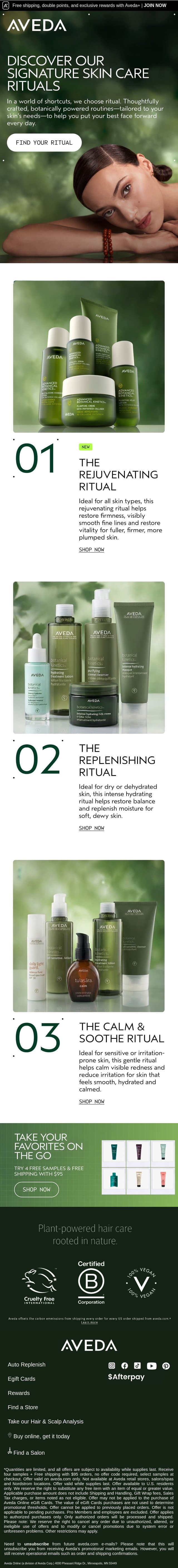 Which skin care ritual is right for you? email from Aveda screenshot