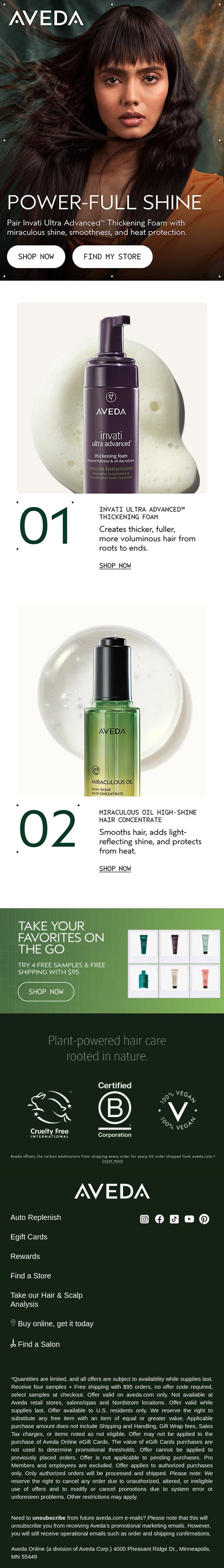 Fuller hair meets miraculous shine email from Aveda screenshot