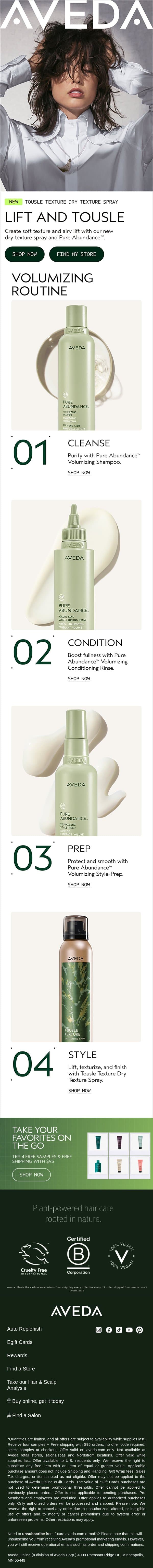 Try our best texturizer in your volumizing routine. email from Aveda screenshot
