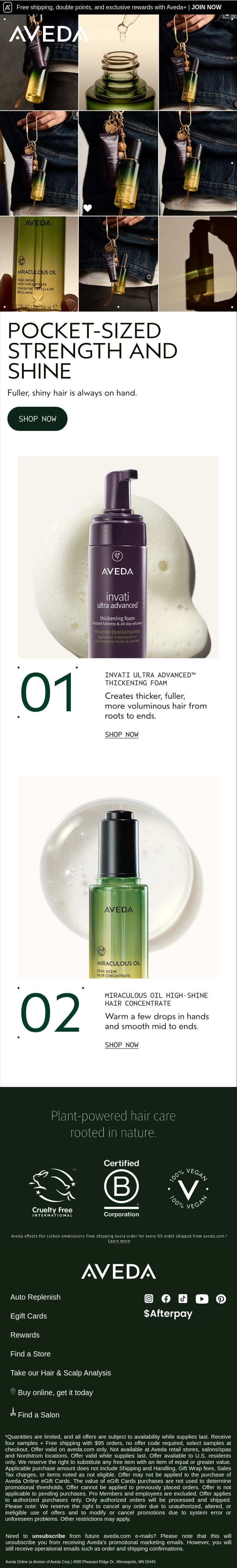 Great hair, always on hand email from Aveda screenshot