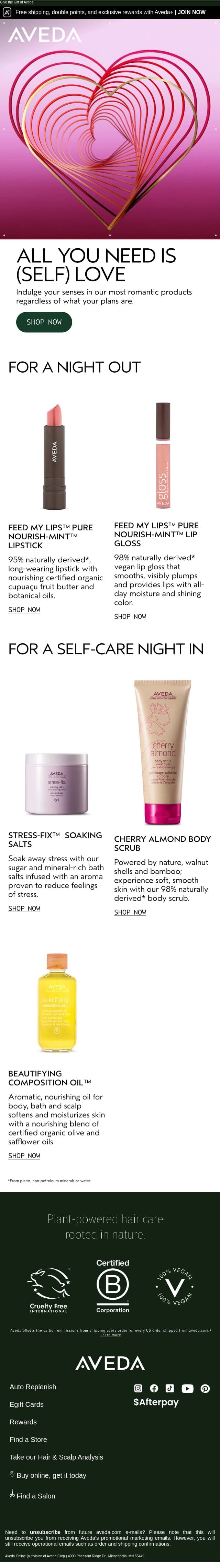 Your Valentine's Day Plans ❤️ email from Aveda screenshot