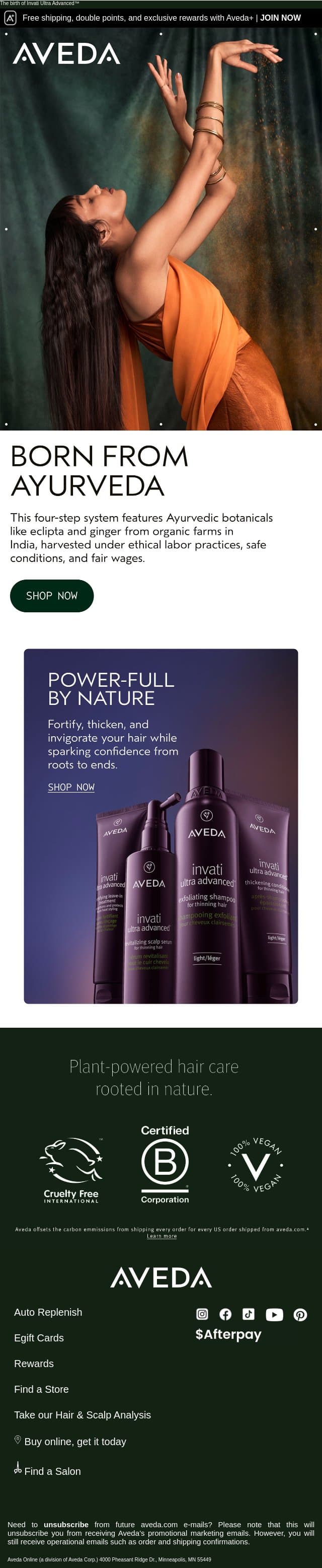 Rooted in Ayurvedic tradition email from Aveda screenshot