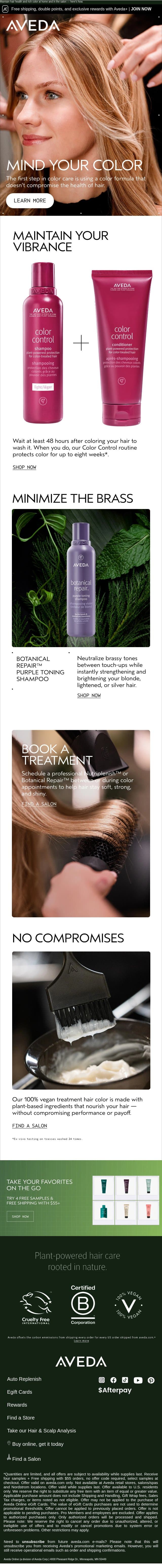 Hair color is an investment. Are you protecting it? email from Aveda screenshot