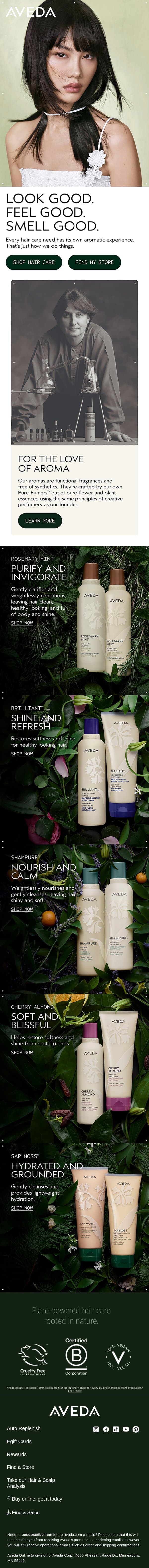 An aromatic experience, from Aveda email from Aveda screenshot