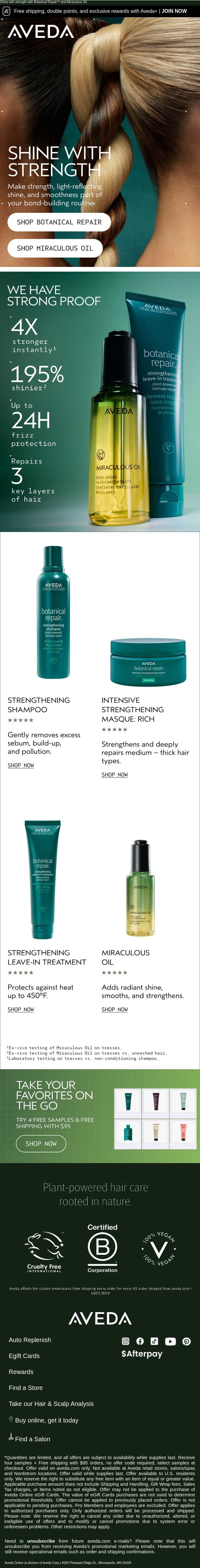 The ultimate healthy hair duo email from Aveda screenshot