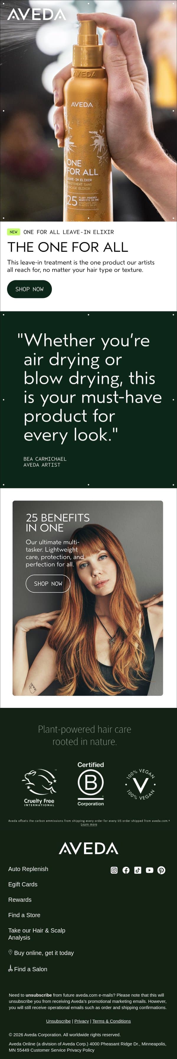 The one product our artists all reach for email from Aveda screenshot