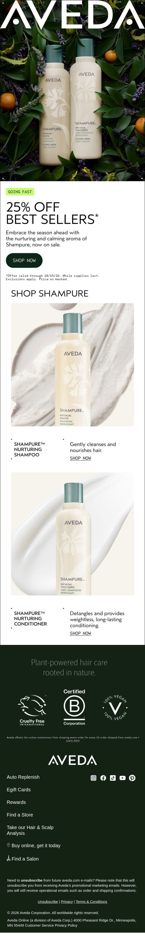 Shampure™ favorites are 25% off for a limited time email from Aveda screenshot