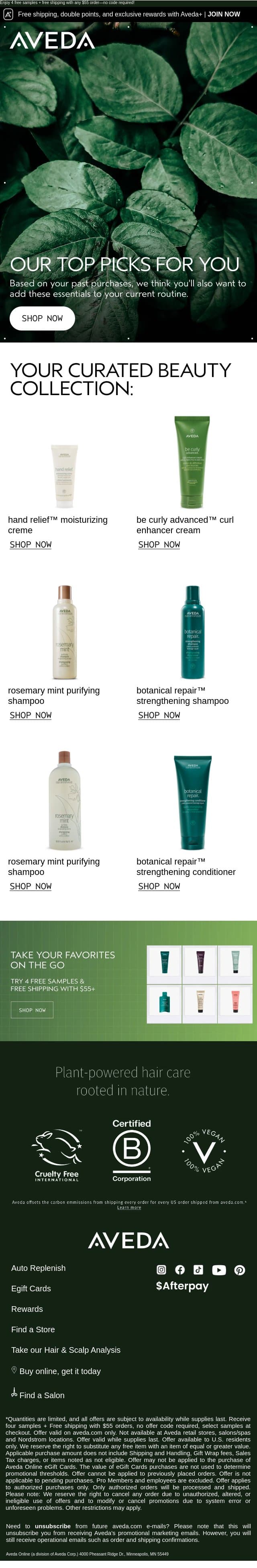Your Personalized Product Picks email from Aveda screenshot