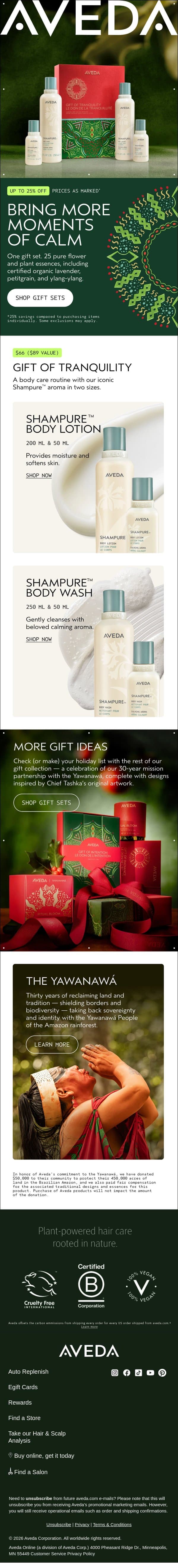 What every holiday needs… email from Aveda screenshot