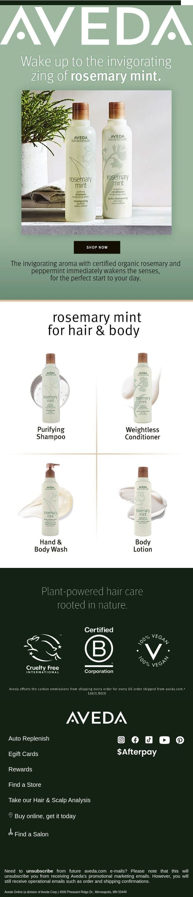 Everyone loves this classic. email from Aveda screenshot