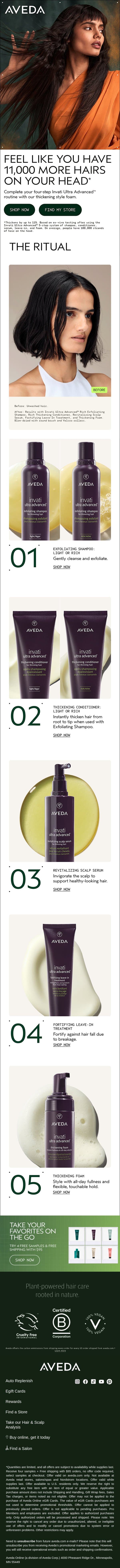 The ritual to fullness email from Aveda screenshot