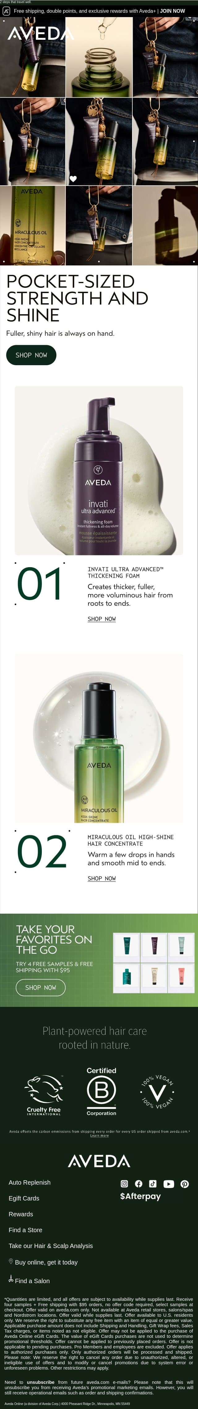 Fuller. Shinier. Anywhere. email from Aveda screenshot