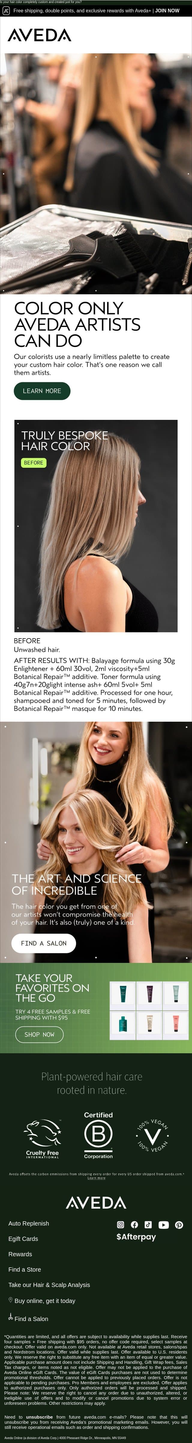 The art of custom hair color, perfected in Aveda salons email from Aveda screenshot