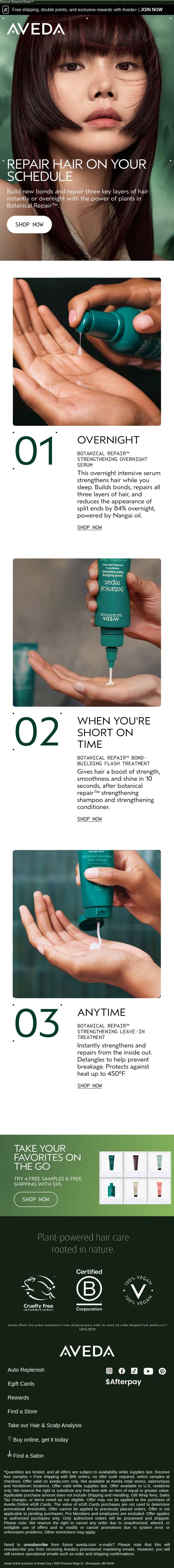 3 ways to repair hair email from Aveda screenshot