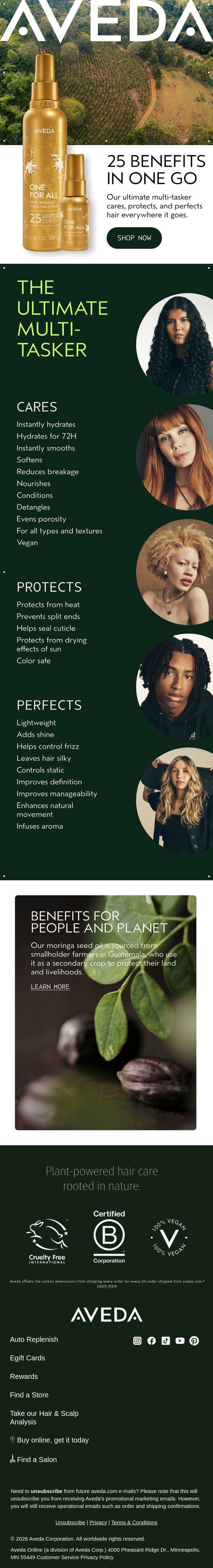 Take One For All Leave-In Elixir on the go email from Aveda screenshot