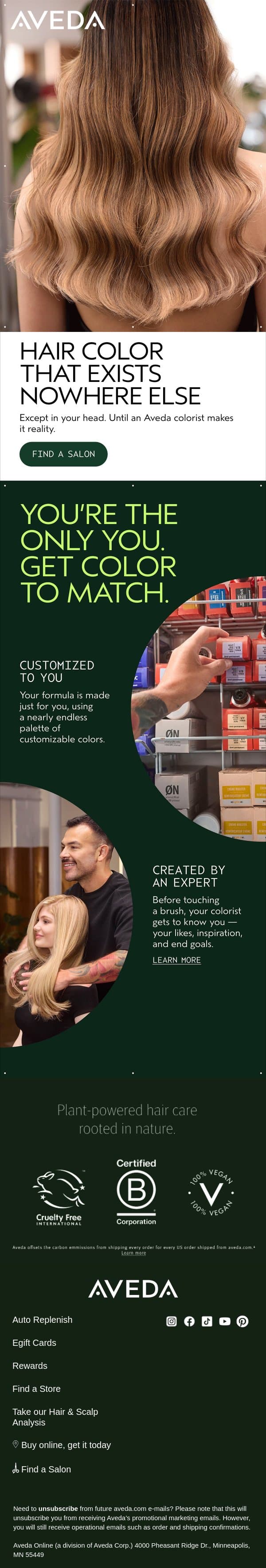 Color created by an expert email from Aveda screenshot