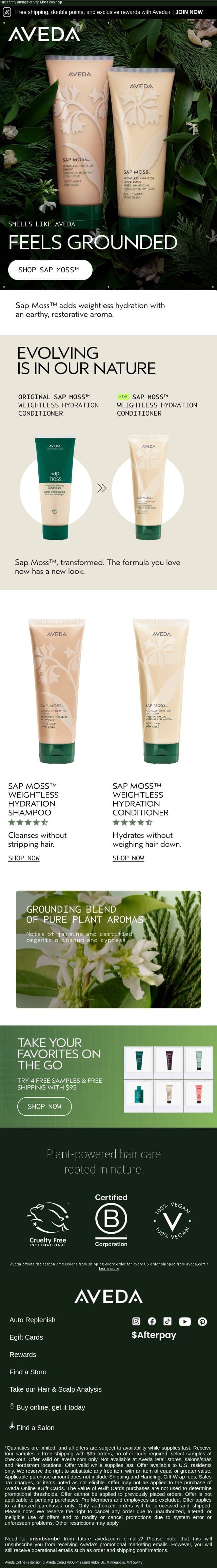 Start grounding yourself in the shower email from Aveda screenshot