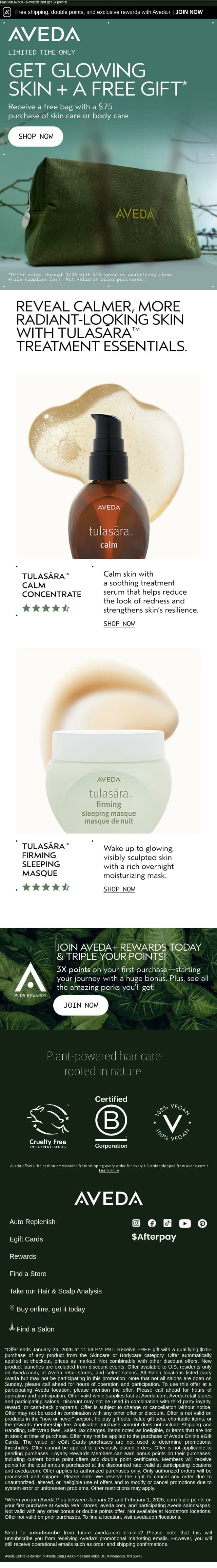 Glow Up Your Cart—Free Gift Inside ✨ email from Aveda screenshot