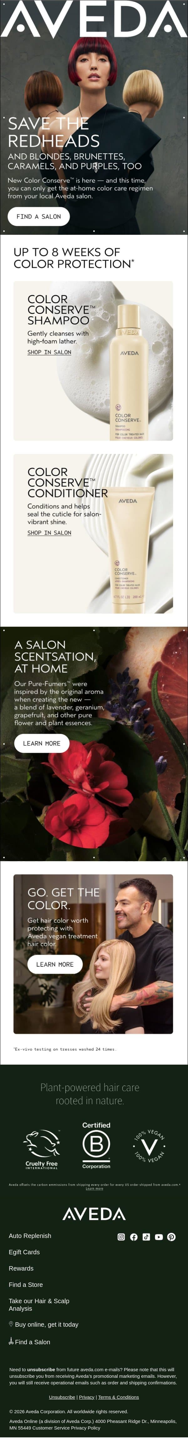 Our favorite at-home color care, just for you email from Aveda screenshot