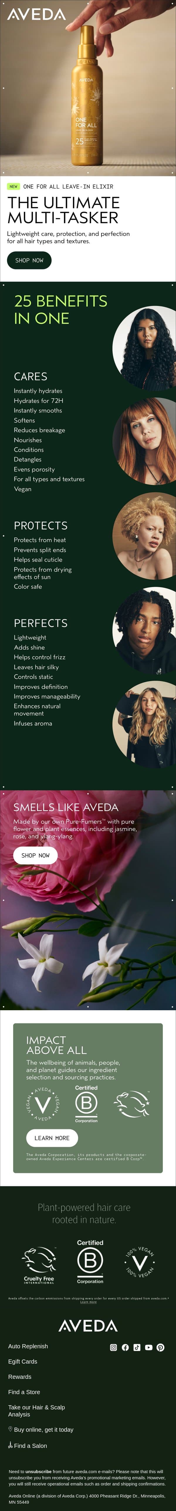 The leave-in conditioner you’ll never want to leave out email from Aveda screenshot