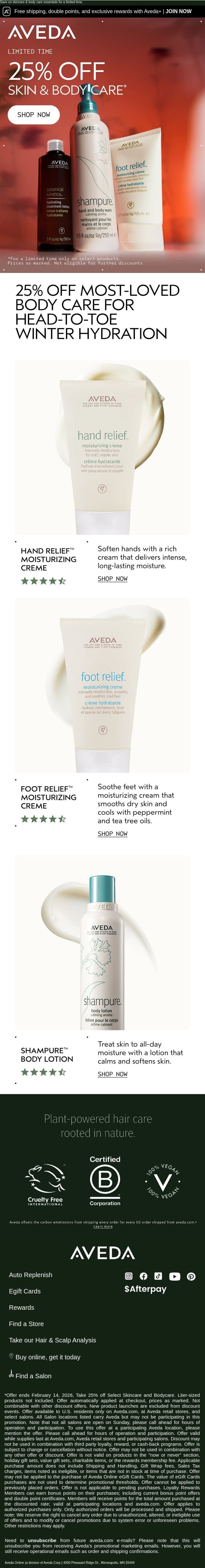 Winter-proof your glow with 25% off email from Aveda screenshot