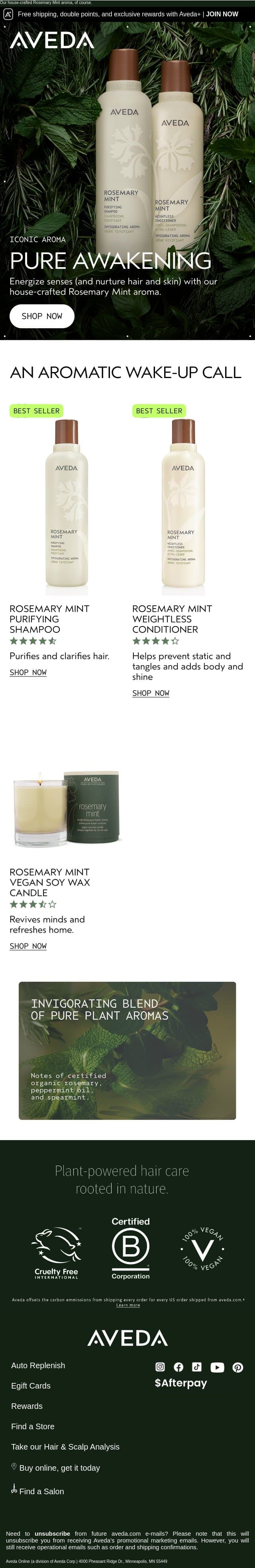 A wake-up call that’s invigorating, not rude email from Aveda screenshot