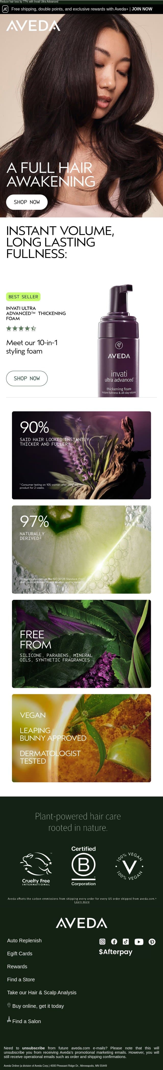 Meet our 10-in-one styling foam. email from Aveda screenshot
