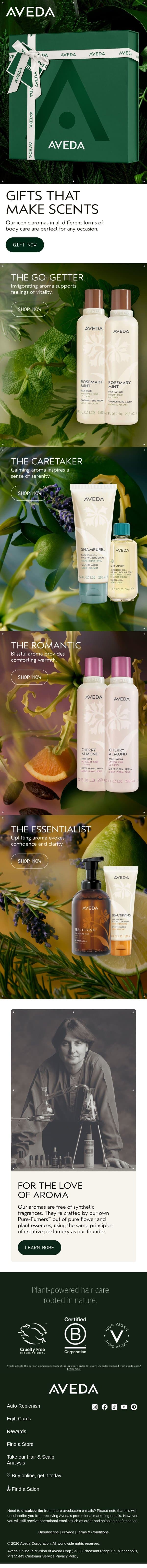 The perfect gift for any occasion email from Aveda screenshot
