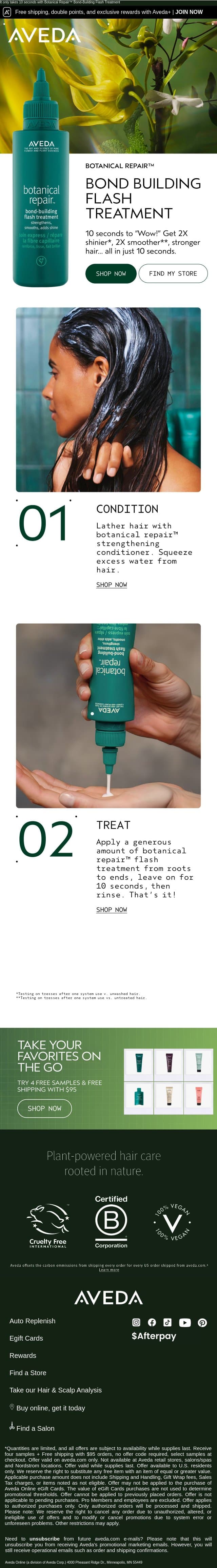 Repair hair in a flash email from Aveda screenshot