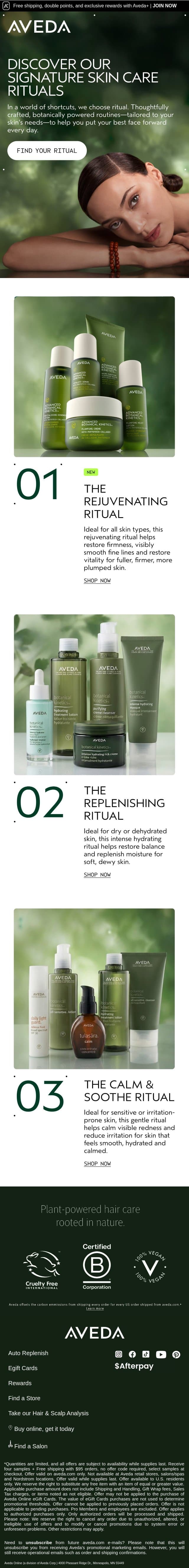 The right skincare for you email from Aveda screenshot