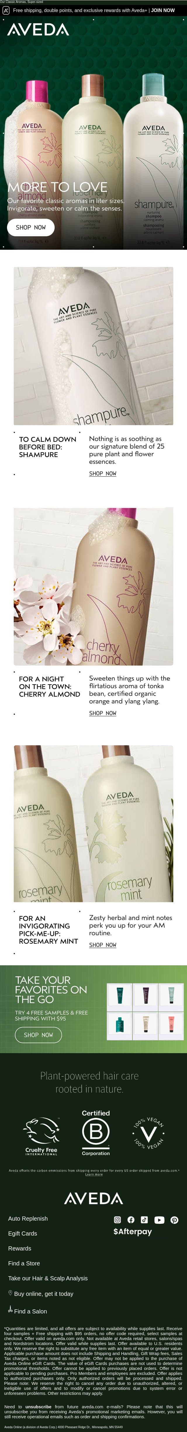 The scents you love in the sizes you need email from Aveda screenshot