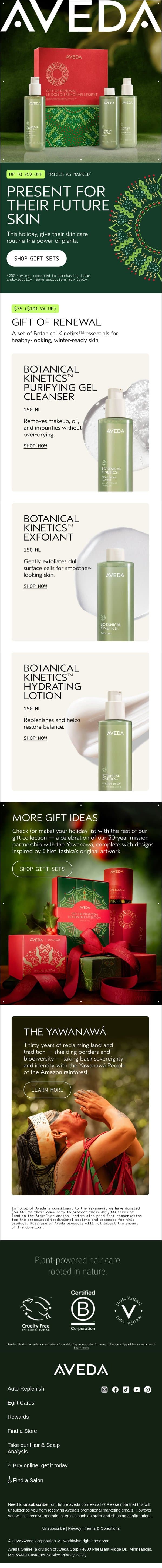 We put skin care in a gift set email from Aveda screenshot