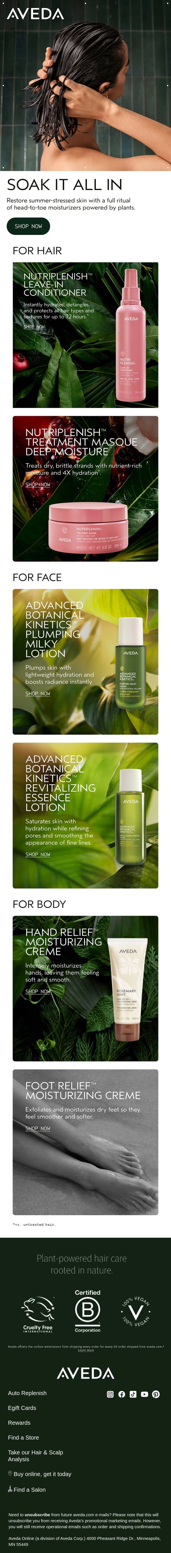 Head-to-toe ritual email from Aveda screenshot