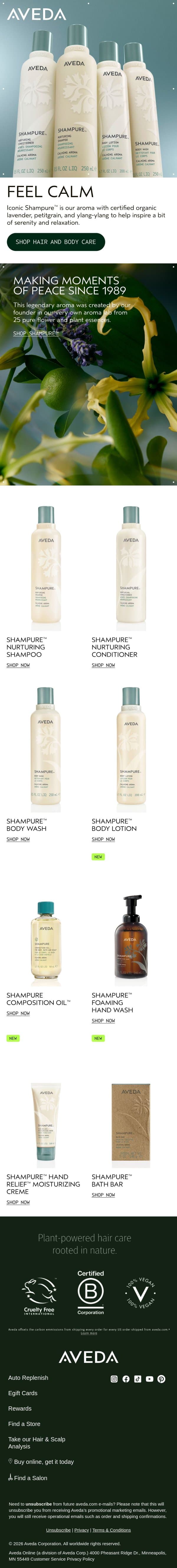 Calm your senses email from Aveda screenshot