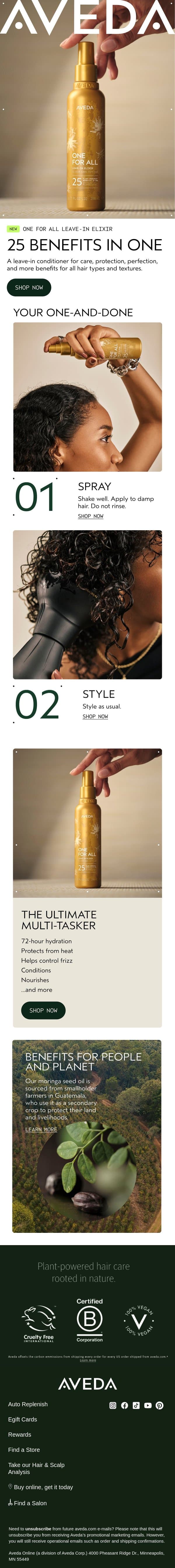 NEW: One For All Leave-In Elixir. email from Aveda screenshot