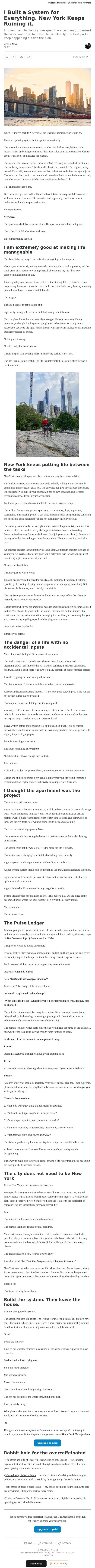 I Built a System for Everything. New York Keeps Ruining it. email from Averi screenshot