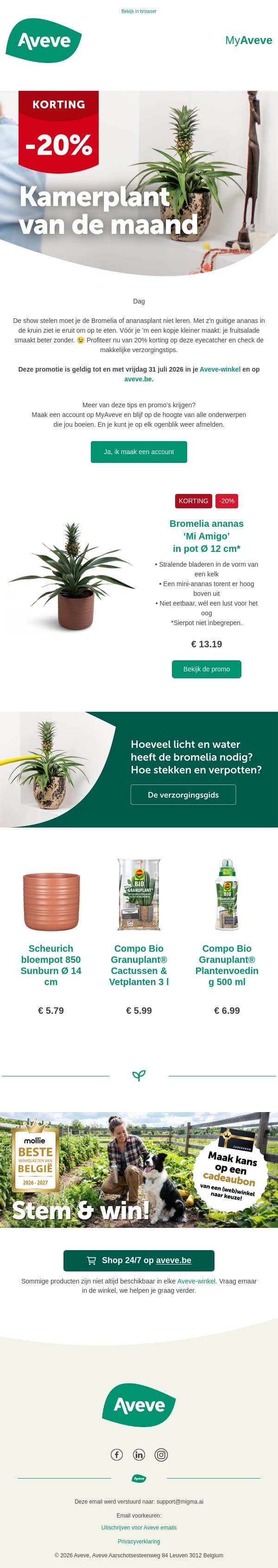 Een ananas als kamerplant? 🍍 email from Aveve screenshot