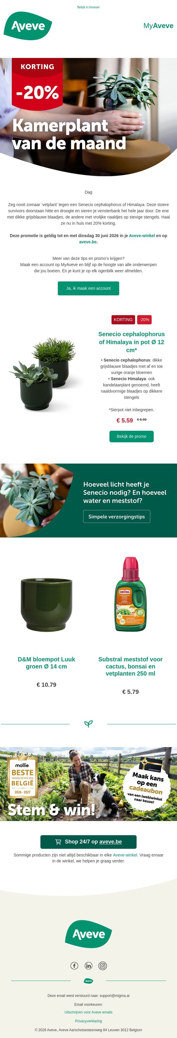 -20% op vrolijke vetplant Senecio 🪴 email from Aveve screenshot