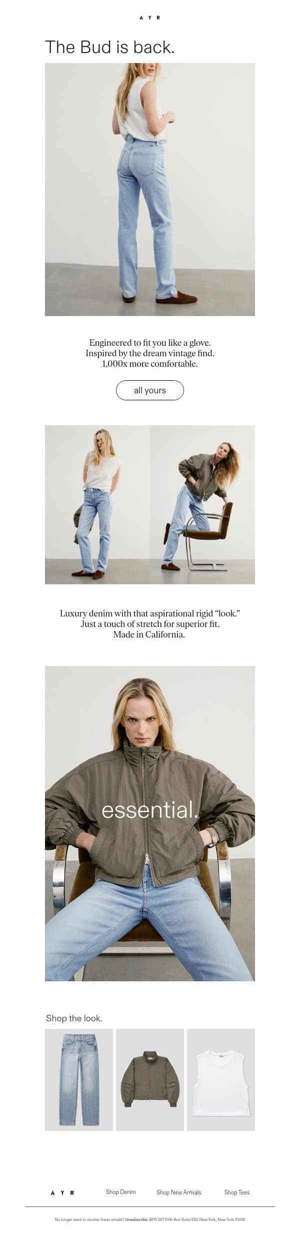 IT’S BACK | like vintage, but better email from AYR screenshot