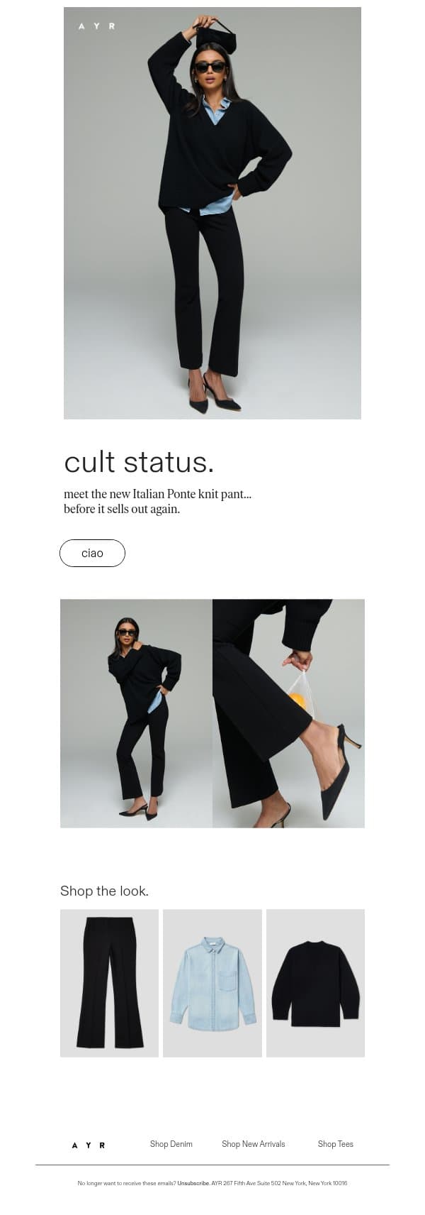 you've seen this pant, right? email from AYR screenshot