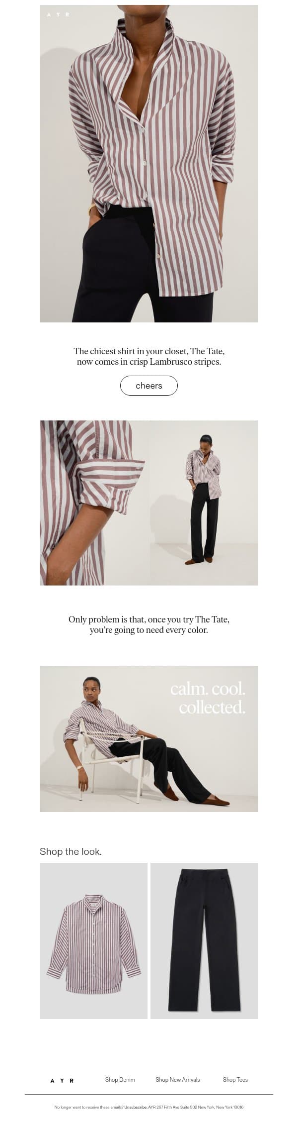 *the* sold-out shirt in a crisp new stripe email from AYR screenshot