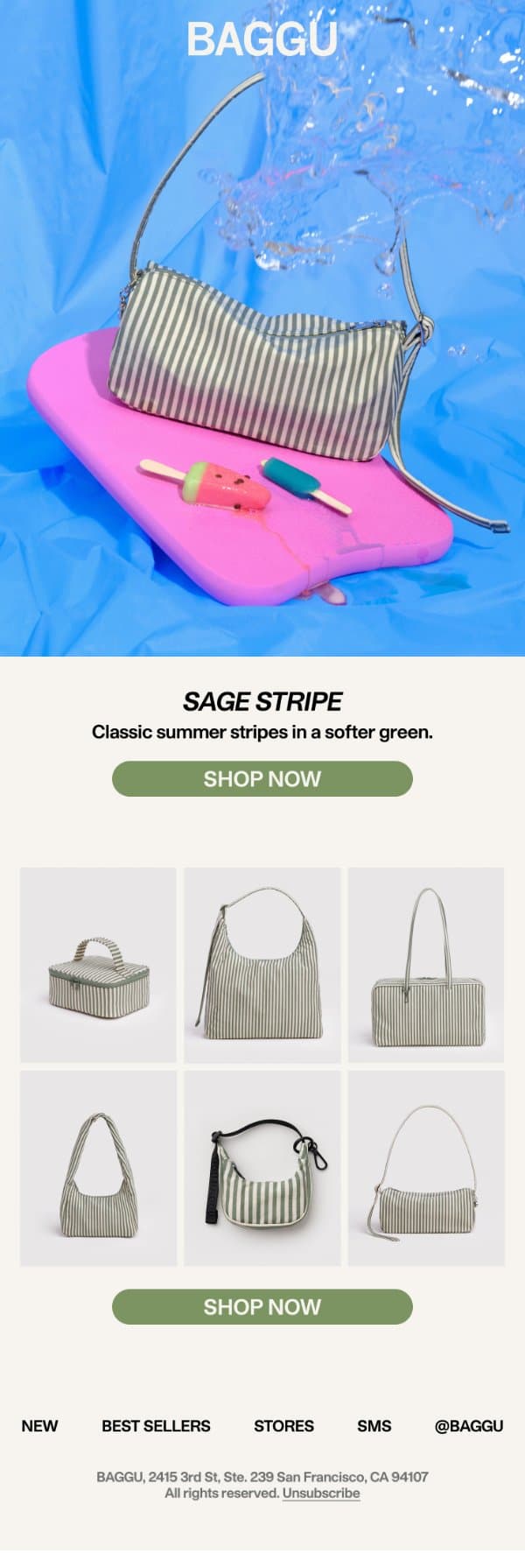 Sage Stripe email from Baggu screenshot
