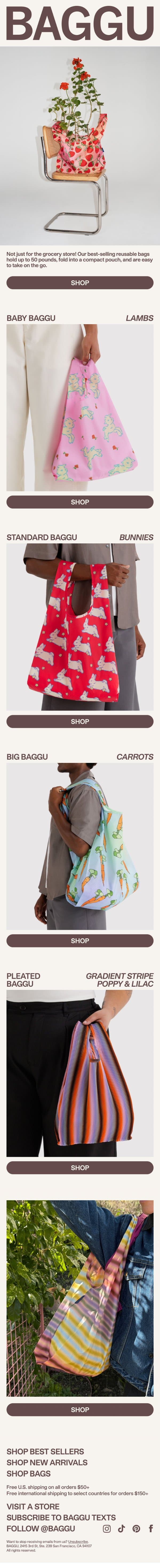 The Standard Baggu email from Baggu screenshot