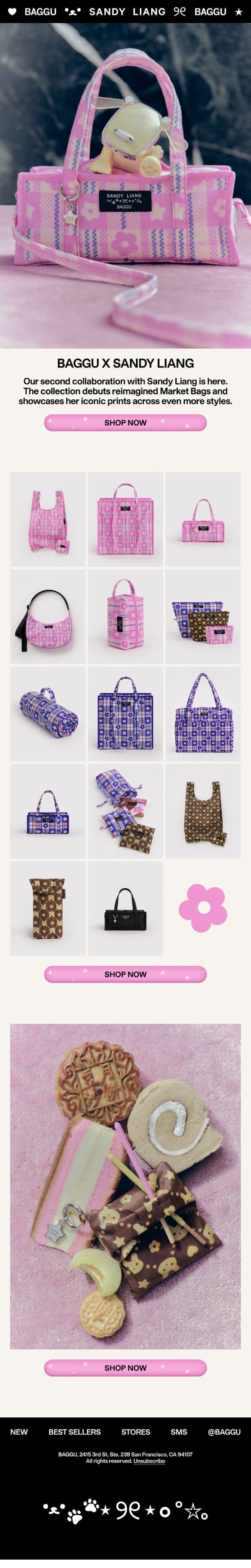 It's Here! BAGGU x Sandy Liang email from Baggu screenshot